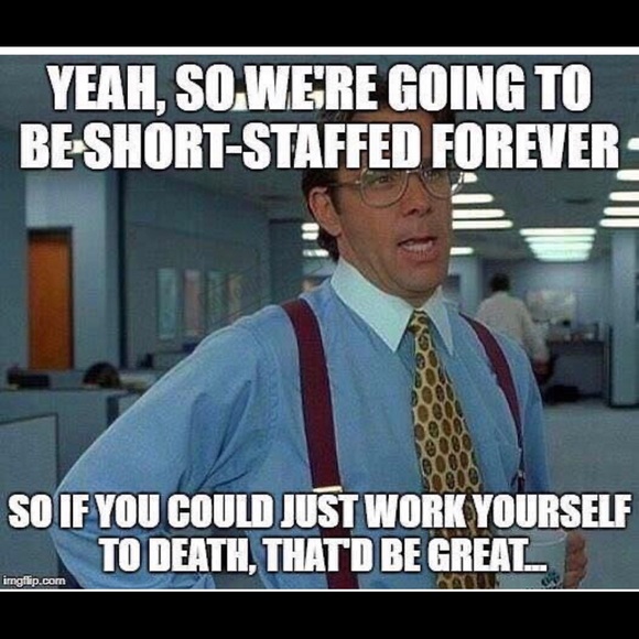 Meet your Posher, Matt - Picture 1 of 1